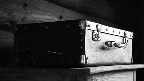 Closed suitcase, black and white Stock Footage 110844320