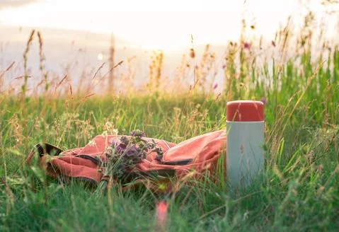 Closed thermos and red backpack lie in the grass under the sky Stock Photos