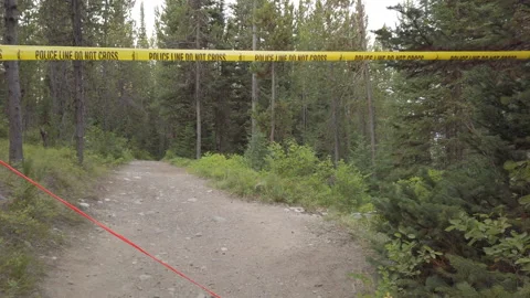 Closed Trail 02 UHD Stock Footage 177003554