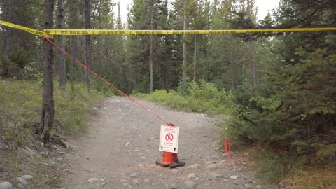 Closed Trail UHD Stock Footage 178483680