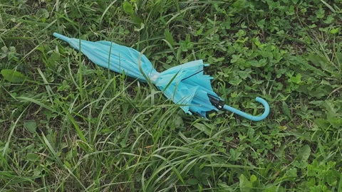 Closed turquoise umbrella lying abandoned on a verdant lawn. A lost object Stock Footage 344816114