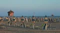 Closed umbrellas and chairs on the beach at sunset HD Footage
