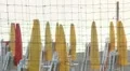 Closed umbrellas and chairs on the beach at sunset HD Footage