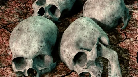 Closed view in skull box Stock Footage 167144031