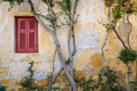 Closed window blind of an old building surrounded by plant Stock Photos