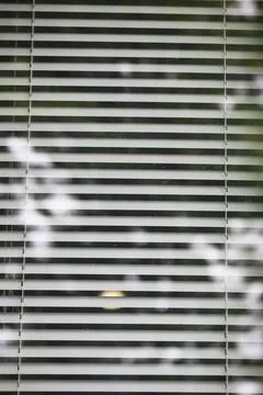 Closed Window Blinds with Outdoor Reflection - Modern Minimalist Background Stock Photos