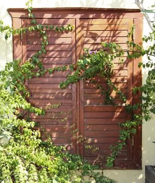 Closed window on the facade of the house Stock Photos