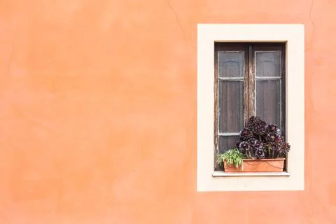 Closed window with planter Foto stock