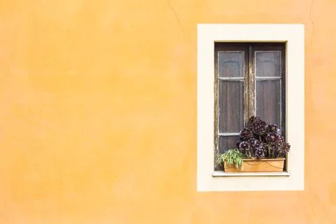 Closed window with planter Stock Photos