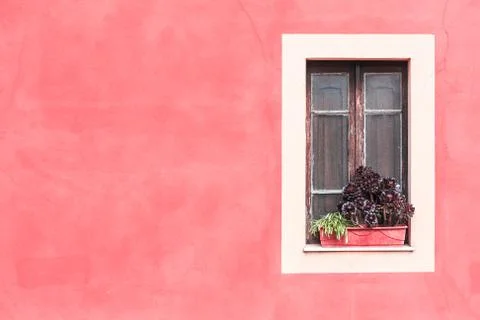 Closed window with planter Stock Photos