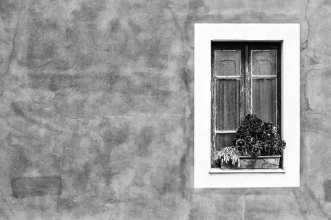 Closed window with planter Stock Photos