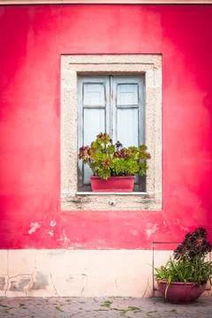 Closed window with planter Stock Photos