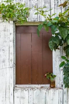 Closed window with rose Stock Photos