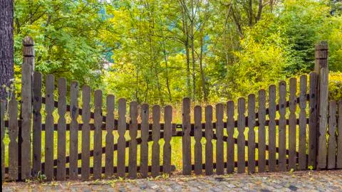 Closed wooden gate on a forest background Stock Photos