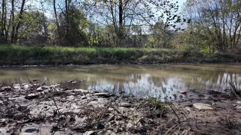 Closer creek Stock Footage 292598932