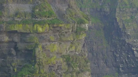 Closer look of the cliffs from the Cliffs of Moher Stock Footage 81191207