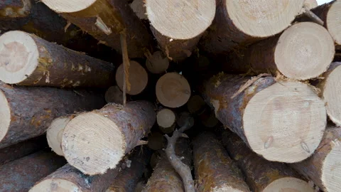 The closer look of the edge of the logs Stock Footage 151738366