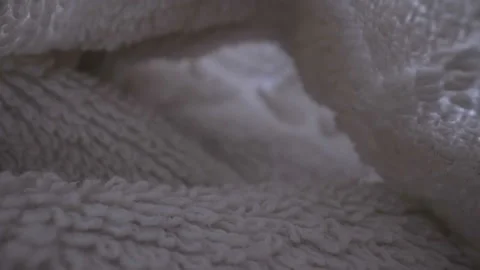 A closer look inside the white towel cloth Stock Footage 138537407