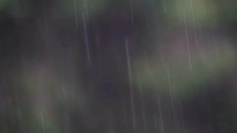 Closer look of the rain from the sky in the forest in Estonia 스톡 동영상 143818119