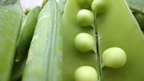 Closer look of the small beans inside the pod Stock Footage 135700893