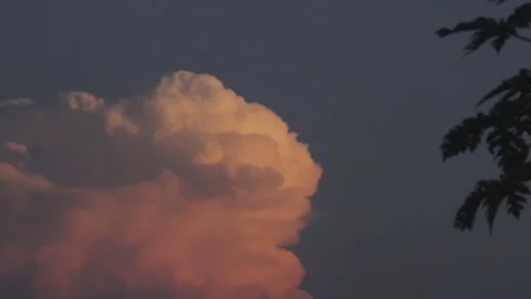 Closer look of sunrise orange cloud with palm trees 库存影片 76703427