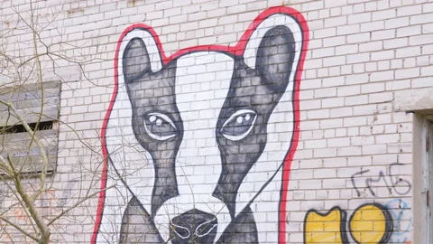 Closer look of the wall paint of the wolf in Estonia Stock Footage 157250464