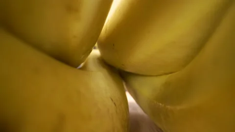 The closer look of the yellow bananas on the table Stock Footage 135703701