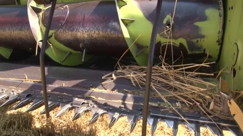 Closer view on the combine header platform Vídeo Stock 54611653