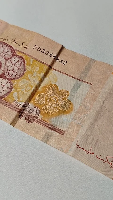 Closeup of 10 Malaysian Ringgit banknote featuring detailed currency texture and Stock Footage 335643820