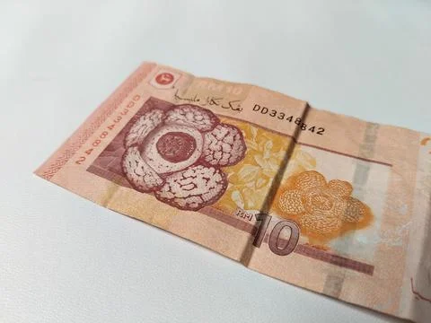 Closeup of 10 Malaysian Ringgit banknote featuring detailed currency texture  Foto stock