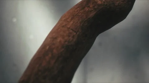 Closeup of 3D Animated tree branch growing from concrete Stock Footage 255664707