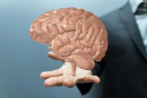 Closeup of 3D rendered human brain anatomical model hovering in man’s hand Foto stock