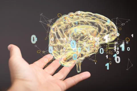Closeup of 3D rendered human brain anatomical model hovering in man’s hand Foto stock