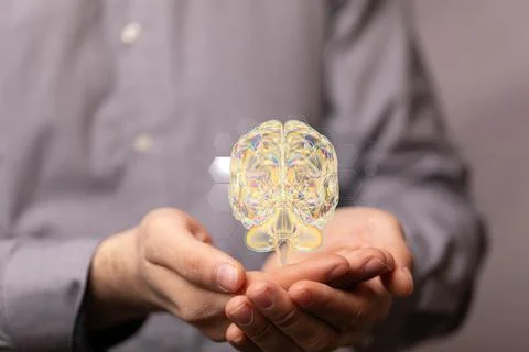 Closeup of 3D rendered human brain anatomical model hovering in man hands Foto stock