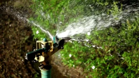 Closeup 4k footage of automatic water sprinkler watering green grass lawn at Video stock 334656786
