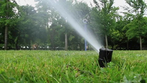 Closeup 4k footage of automatic water sprinkler watering green grass lawn at Video stock 334656829