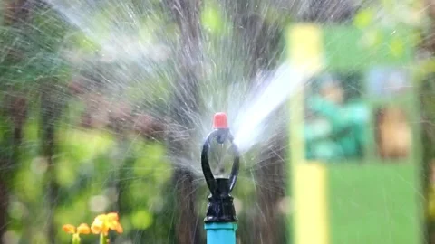 Closeup 4k footage of automatic water sprinkler watering green grass lawn at Video stock 334657689