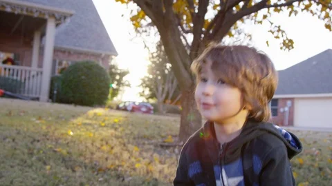 Closeup of 5 year old boy joyfully throwing leaves in the air at sunset Stock-Footage 93887070