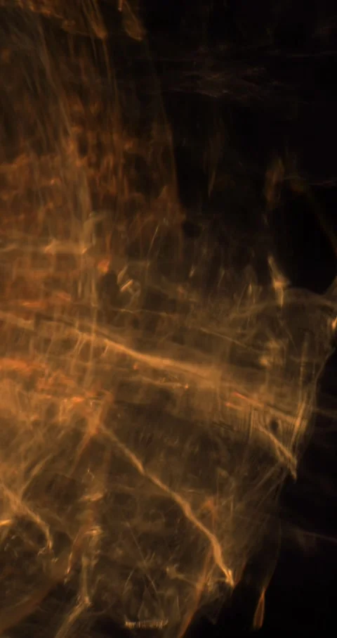 Closeup Of Abstract Chromatic Waves Background. Futuristic Holographic Video Video stock 304399392