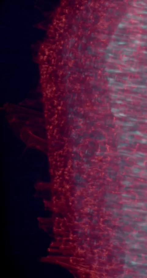 Closeup Of Abstract Chromatic Waves Background. Futuristic Holographic Video Video stock 304399963