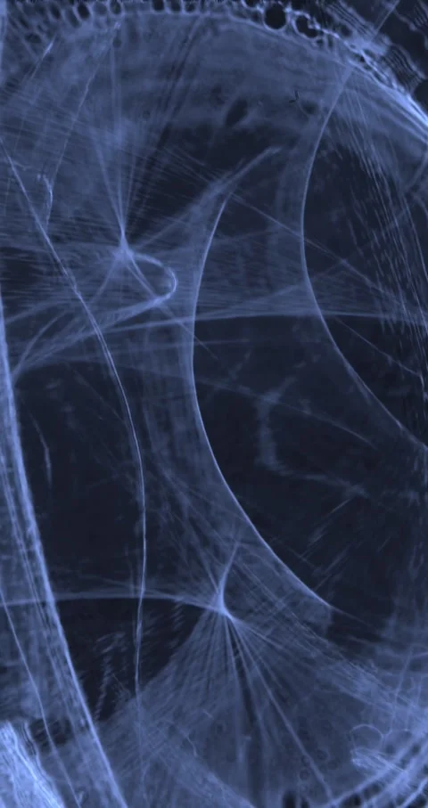 Closeup Of Abstract Chromatic Waves Background. Futuristic Holographic Video Video stock 304400057