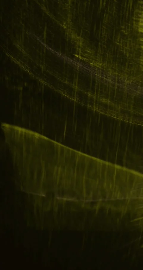 Closeup Of Abstract Chromatic Waves Background. Futuristic Holographic Video Video stock 304400094