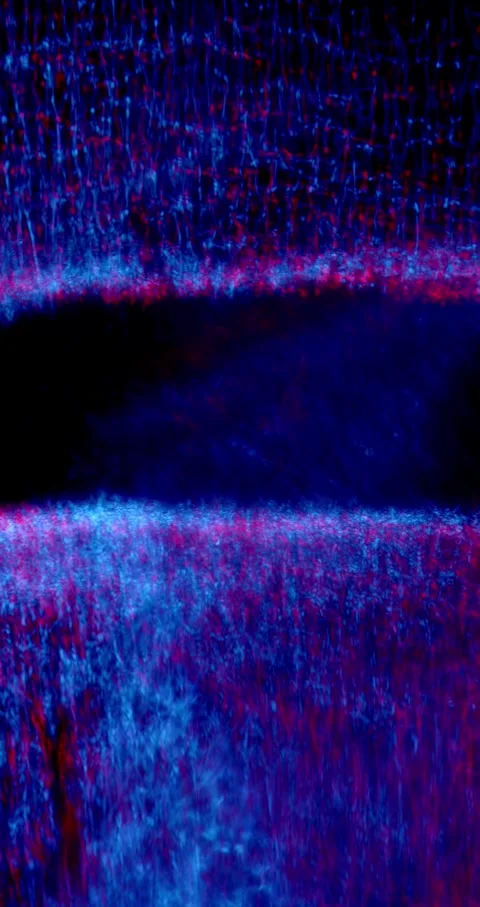 Closeup Of Abstract Chromatic Waves Background. Futuristic Holographic Video Video stock 304400774