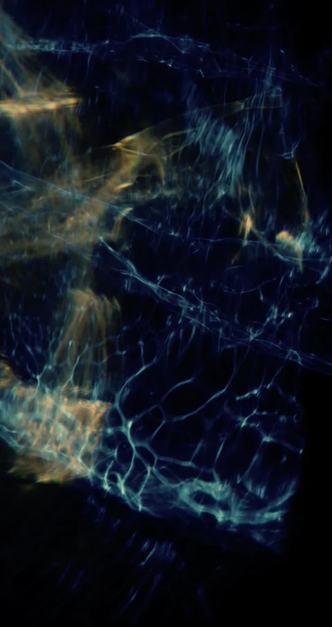 Closeup Of Abstract Chromatic Waves Background. Futuristic Holographic Video Video stock 304402586