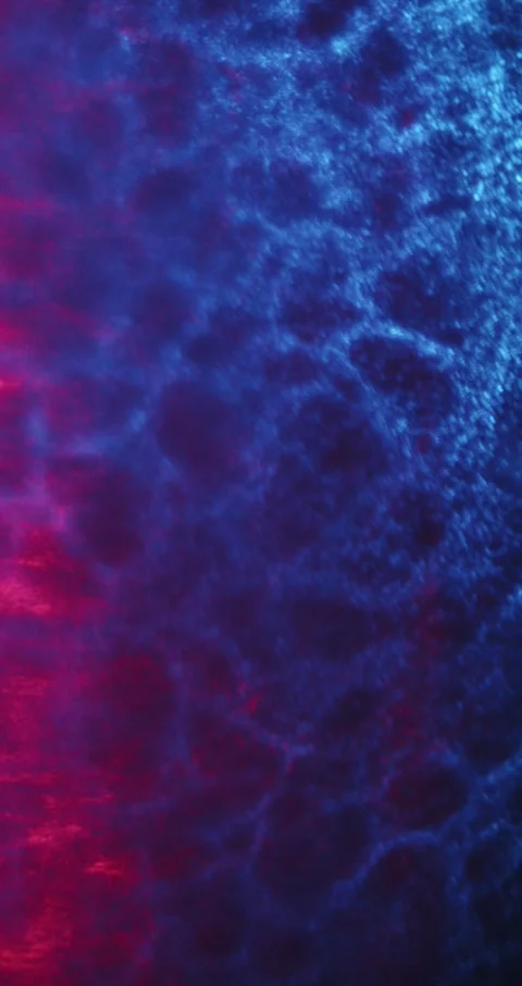 Closeup Of Abstract Chromatic Waves Background. Futuristic Holographic Video Stock Footage 304469728