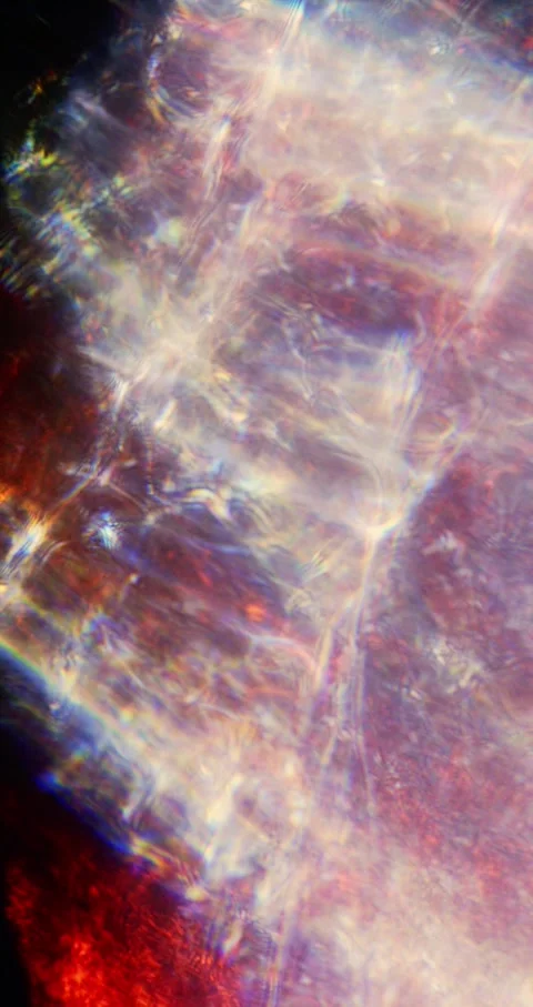 Closeup Of Abstract Chromatic Waves Background. Futuristic Holographic Video Stock Footage 304470644