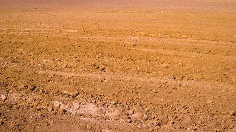 Closeup of an abstract pattern of a dry field Видео 94639947