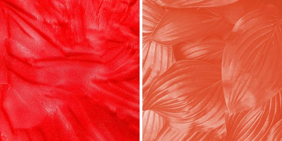 Closeup of abstract on red background Stock Illustration