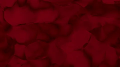 Closeup of Abstract Smooth Red fluid waves background Stock Footage 196820236