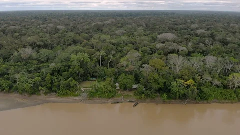 Closeup aerial cinematic view Amazon rain forest jungle river. Puerto Maldonado Stock Footage 93789366